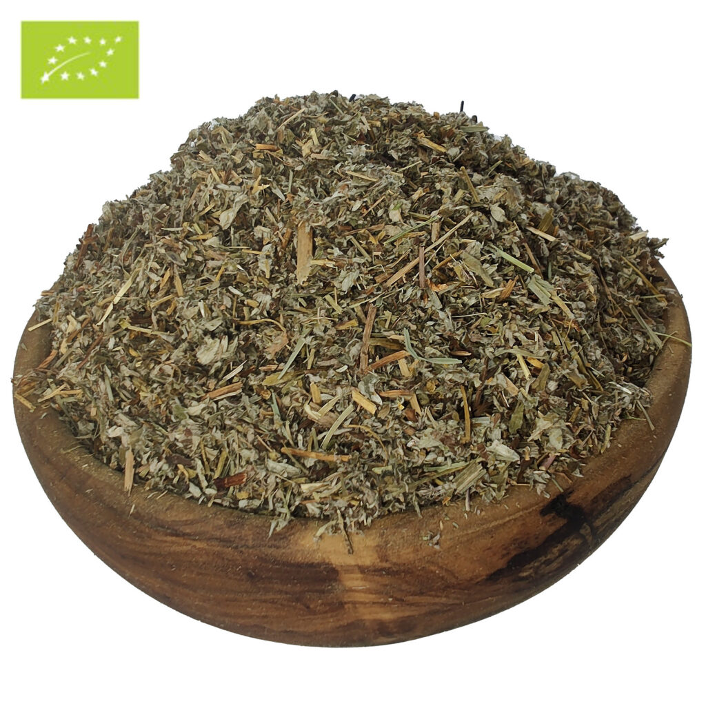 Srebrnik-pięciornik-gęsi Silverweed-Herb-epicofnature