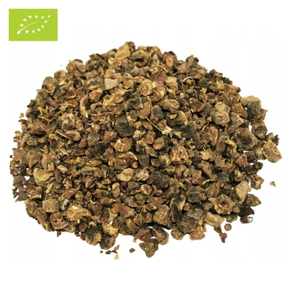 Tormentil-Root-epicofnature