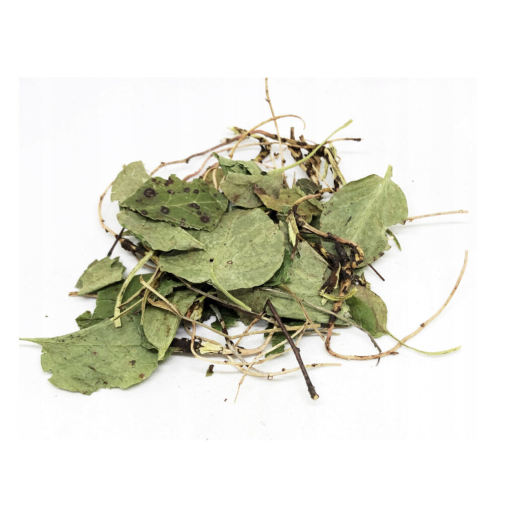 Pyrola-Herb-epicofnature