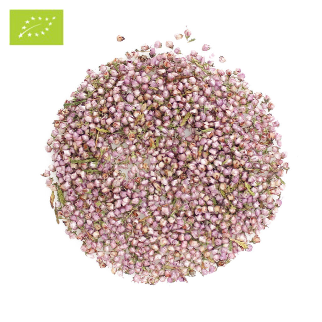 Heather-Flowers-epicofnature