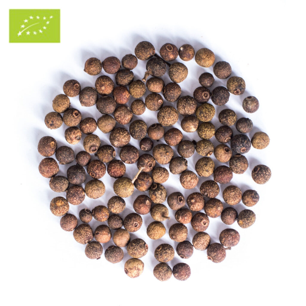 Allspice-epicofnature