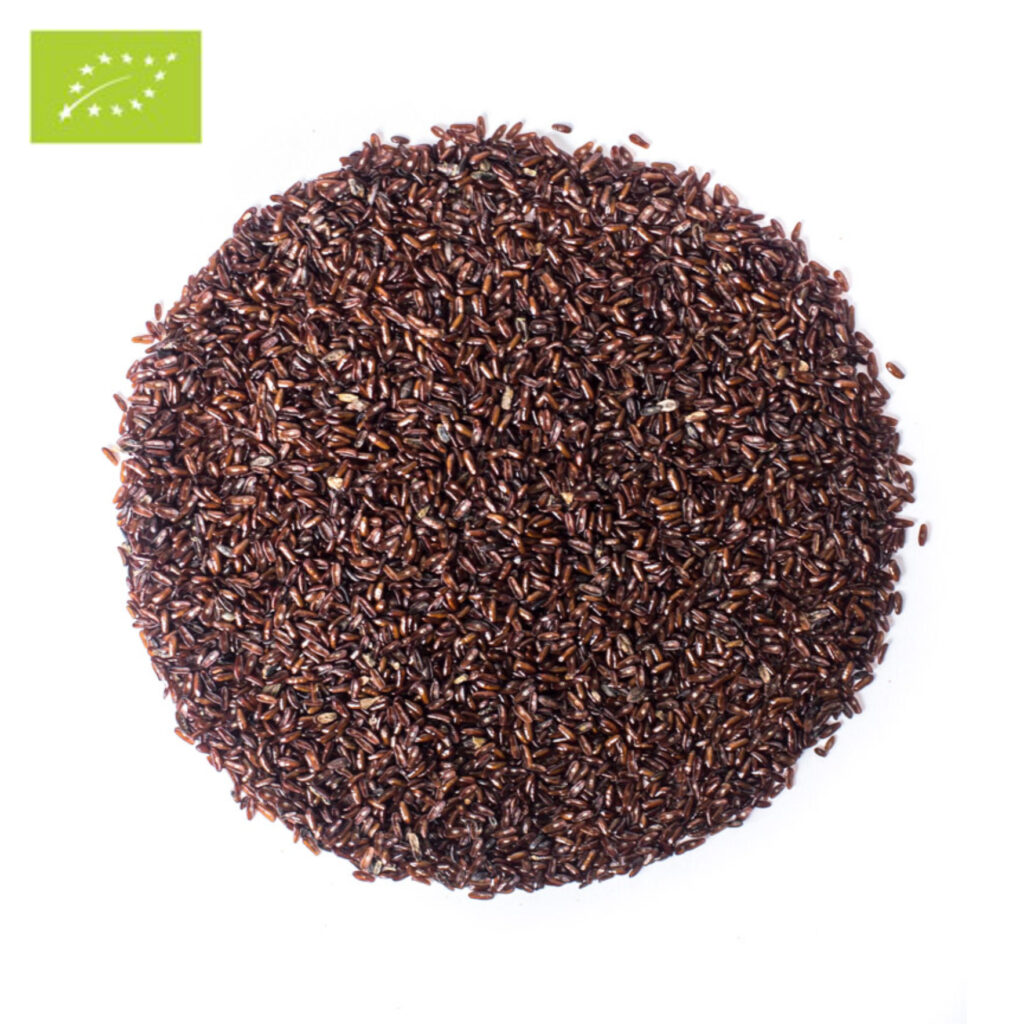 Sand-plantain-seeds-epicofnature