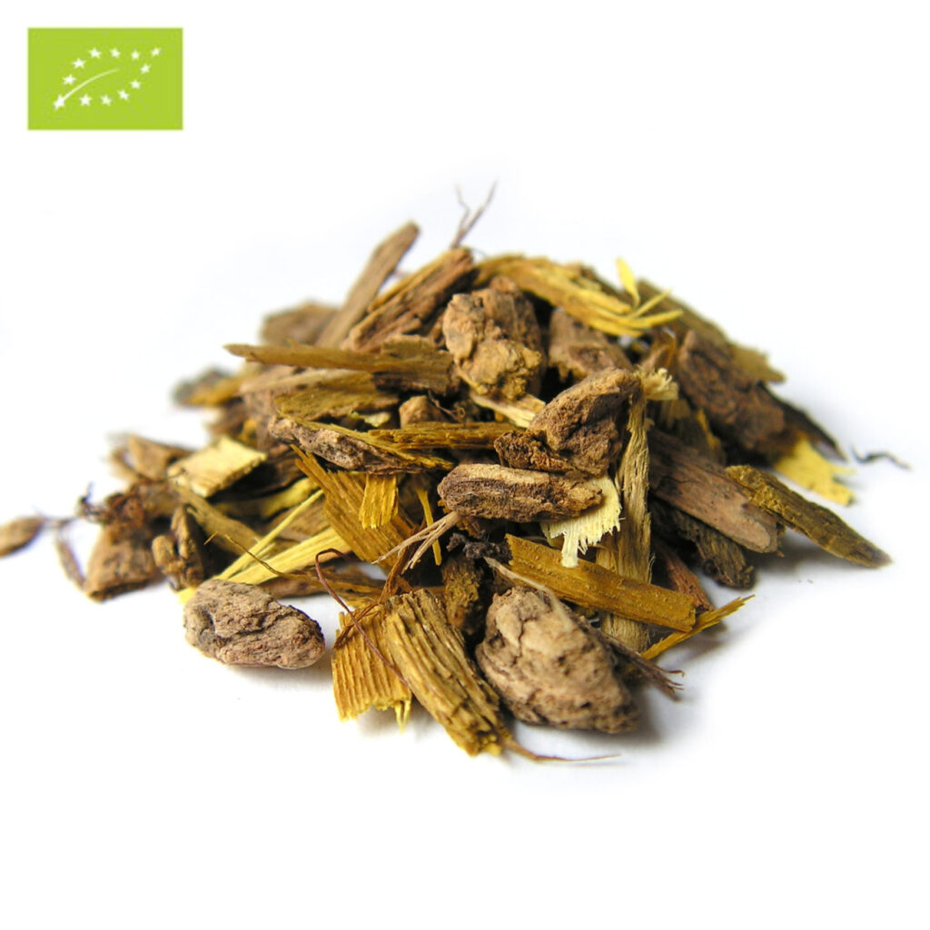 Barberry-Bark-epicofnature